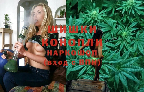 гидра Ветлуга